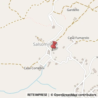 Mappa Via Kennedy, 16, 43039 Salsomaggiore Terme, Parma (Emilia Romagna)