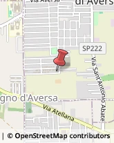 Veterinaria - Ambulatori e Laboratori Gricignano di Aversa,81030Caserta