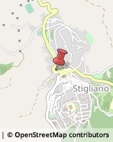 Piante e Fiori - Dettaglio Stigliano,75018Matera