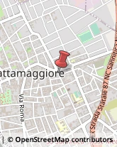 Professionali - Scuole Private Frattamaggiore,80027Napoli