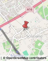 Via Sabato Borzillo, 12,80034Scisciano