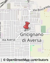 Aziende Sanitarie Locali (ASL) Gricignano di Aversa,81030Caserta