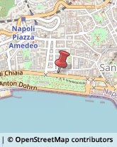 Articoli Sportivi - Dettaglio Napoli,80121Napoli