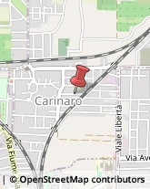 Agenzie Investigative Carinaro,81032Caserta