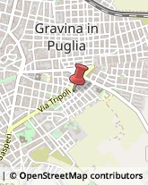 Animali Domestici - Toeletta Gravina in Puglia,70024Bari