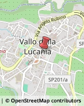 Commercialisti Vallo della Lucania,84078Salerno