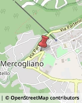 Consulenza di Direzione ed Organizzazione Aziendale Mercogliano,83013Avellino