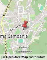 Agenzie di Animazione e Spettacolo Palma Campania,80036Napoli