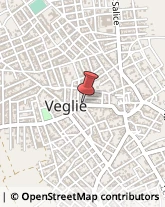 Istituti Finanziari Veglie,73010Lecce