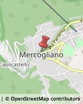 Parafarmacie Mercogliano,83013Avellino