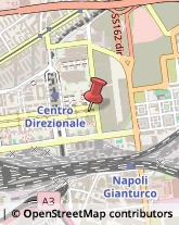 Agenzie di Vigilanza e Sorveglianza Napoli,80143Napoli
