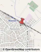 Scuole Pubbliche Novoli,73051Lecce