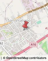 Frutta e Verdura - Dettaglio San Vitaliano,80030Napoli