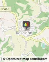 Ragionieri e Periti Commerciali - Studi Roscigno,84020Salerno