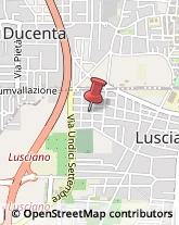 Macellerie Lusciano,80014Caserta