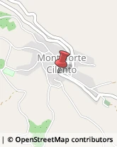 Farmacie Monteforte Cilento,84060Salerno