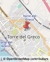 Molle - Produzione e Commercio Torre del Greco,80059Napoli