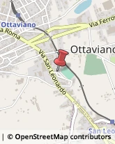 Autotrasporti Ottaviano,80044Napoli