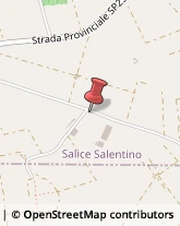 Bulbi e Sementi Salice Salentino,73010Lecce