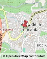 Imprese Edili Vallo della Lucania,84078Salerno