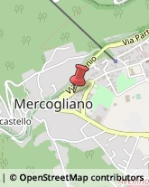 Studi Medici Generici Mercogliano,83013Avellino