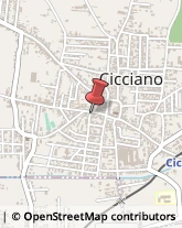 Articoli per Ortopedia Cicciano,80033Napoli