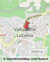 Ristoranti Vallo della Lucania,84078Salerno