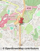 Agenzie di Animazione e Spettacolo Napoli,80136Napoli