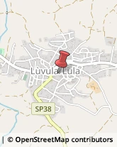 Associazioni Sindacali Lula,08020Nuoro