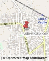 Scuole Pubbliche Salice Salentino,73015Lecce