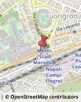 Fiere, Saloni e Mostre - Enti Organizzatori Napoli,80125Napoli