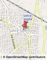 Agenzie Immobiliari Salice Salentino,73015Lecce