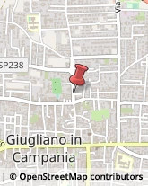 Articoli per Ortopedia Giugliano in Campania,80014Napoli