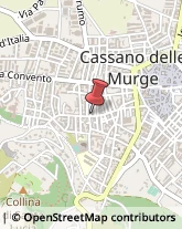 Ortofrutticoltura Cassano delle Murge,70020Bari