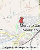 Veterinaria - Ambulatori e Laboratori Mercato San Severino,84085Salerno