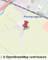 Conserve Pontecagnano Faiano,84098Salerno