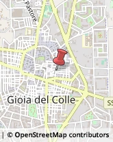 Agrumi Gioia del Colle,70023Bari