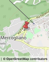 Tessuti Arredamento - Dettaglio Mercogliano,83013Avellino