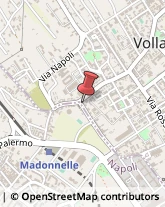 Macellerie Equine Volla,80040Napoli