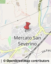 Animali Domestici - Vendita Mercato San Severino,84085Salerno