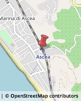 Macellerie Ascea,84046Salerno