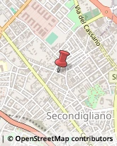 Calzature - Dettaglio Napoli,80144Napoli