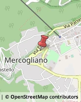 Calzaturifici e Calzolai - Macchine Mercogliano,83013Avellino