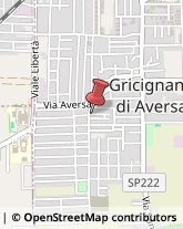 Elementari - Scuole Private Gricignano di Aversa,81030Caserta