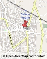 Associazioni Sindacali Salice Salentino,73015Lecce