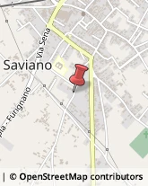 Autotrasporti Saviano,80039Napoli
