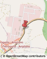 Calzature - Dettaglio Pietragalla,85016Potenza