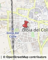 Borse - Dettaglio Gioia del Colle,70023Bari