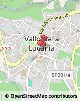 Giornali, Riviste e Libri - Distribuzione Vallo della Lucania,84078Salerno