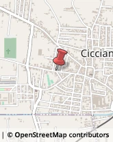 Giornalai Cicciano,80033Napoli